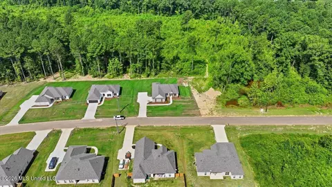 View/Area - 214 New Haven Ln, Brandon, MS 39042 photo 5 of 20