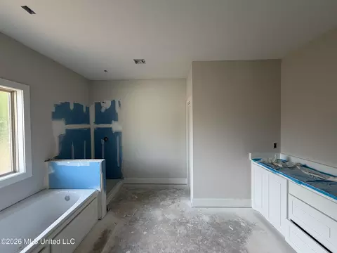 Bath - 214 New Haven Ln, Brandon, MS 39042 photo 1 of 2