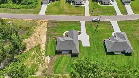 View/Area - 214 New Haven Ln, Brandon, MS 39042 photo 19 of 20