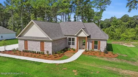 Exterior - 214 New Haven Ln, Brandon, MS 39042 photo 8 of 8