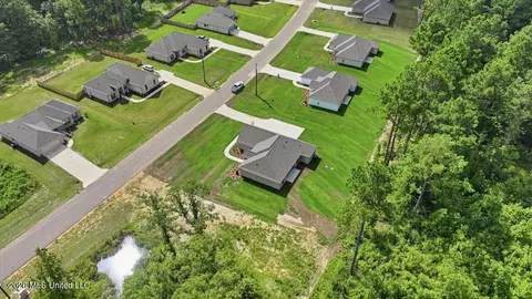 View/Area - 214 New Haven Ln, Brandon, MS 39042 photo 20 of 20