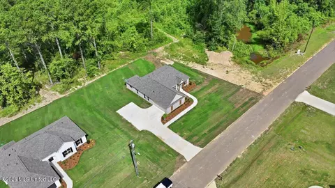 View/Area - 214 New Haven Ln, Brandon, MS 39042 photo 3 of 20