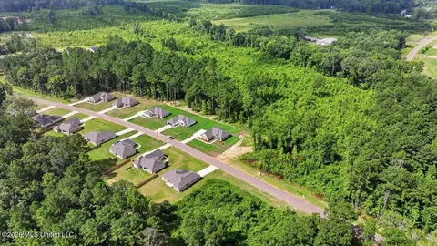 View/Area - 214 New Haven Ln, Brandon, MS 39042 photo 7 of 20