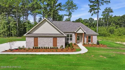 Exterior - 214 New Haven Ln, Brandon, MS 39042 photo 7 of 8