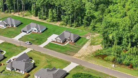 View/Area - 214 New Haven Ln, Brandon, MS 39042 photo 12 of 20