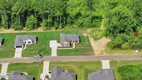 View/Area - 214 New Haven Ln, Brandon, MS 39042 photo 11 of 20