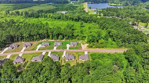View/Area - 214 New Haven Ln, Brandon, MS 39042 photo 8 of 20
