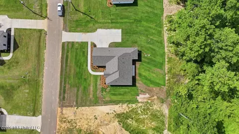 View/Area - 214 New Haven Ln, Brandon, MS 39042 photo 14 of 20