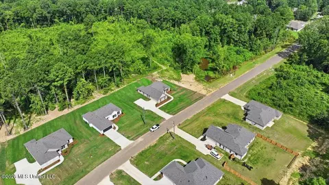 View/Area - 214 New Haven Ln, Brandon, MS 39042 photo 4 of 20
