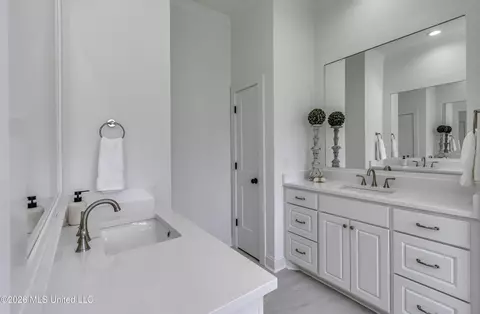 Bath - 804 Albany St, Brandon, MS 39042 photo 2 of 7