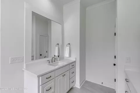 Bath - 804 Albany St, Brandon, MS 39042 photo 1 of 7
