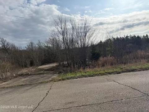 Eiland Avenue, Louisville, MS 39339