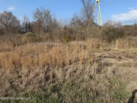 Eiland Avenue, Louisville, MS 39339