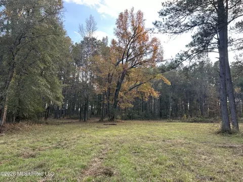 4024 Old Mill Rd, Osyka, MS 39657