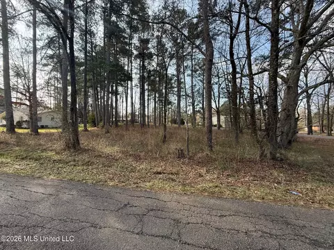 Ackerman Street, Louisville, MS 39339