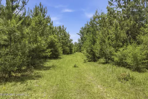 2705 Pilgrims Rest Rd, Magnolia, MS 39652