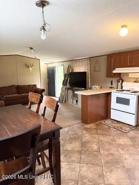 Other - 8320 Darlene Dr, Moss Point, MS 39562 photo 4 of 10
