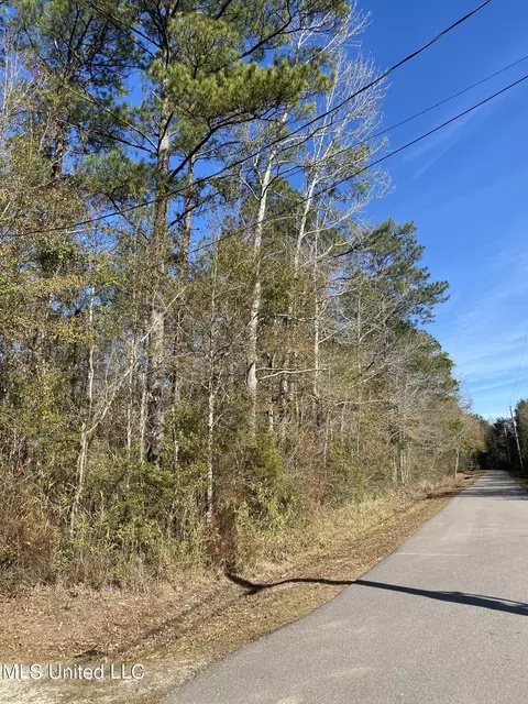 49 Shelton Pearson Rd, Picayune, MS 39466