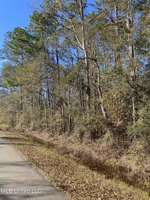 49 Shelton Pearson Rd, Picayune, MS 39466 photo 2
