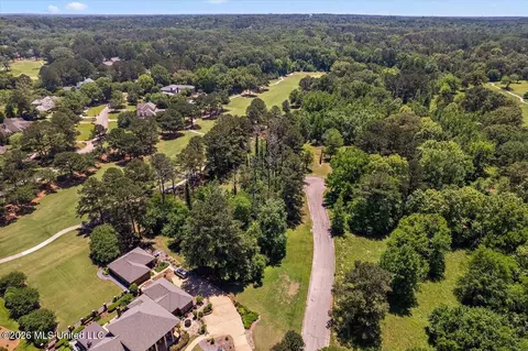111 Bristol Ct, Madison, MS 39110 photo 3