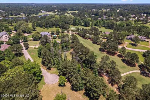 111 Bristol Ct, Madison, MS 39110 photo 8