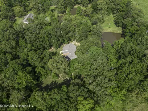 Other - 1380 Kimbell Rd, Terry, MS 39170 photo 22 of 25