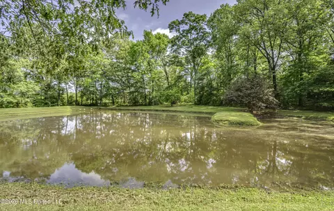 Other - 1380 Kimbell Rd, Terry, MS 39170 photo 25 of 25