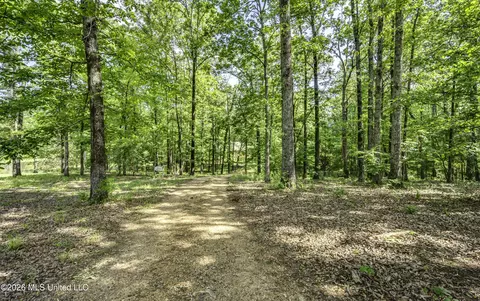 Exterior - 1380 Kimbell Rd, Terry, MS 39170 photo 15 of 15