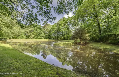 Other - 1380 Kimbell Rd, Terry, MS 39170 photo 24 of 25