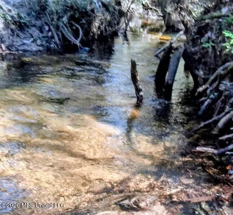 Other - 116 Jw Holland Rd, Lucedale, MS 39452 photo 6 of 8