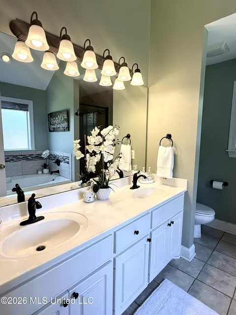Bath - 451 Abbey Woods, Brandon, MS 39047 photo 1 of 5