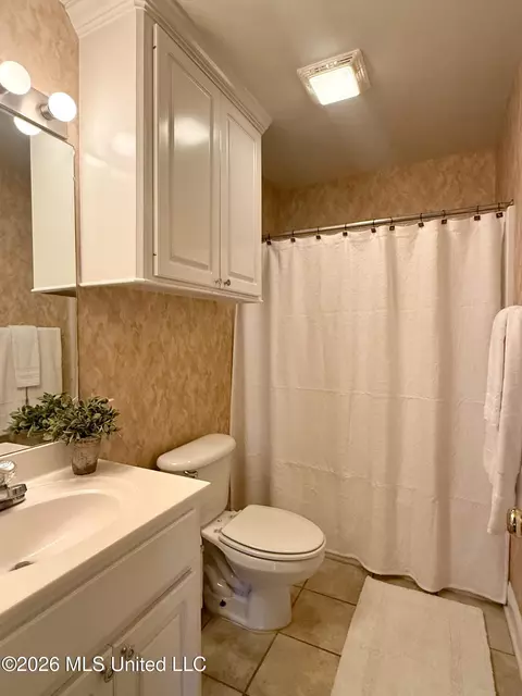 Bath - 451 Abbey Woods, Brandon, MS 39047 photo 5 of 5
