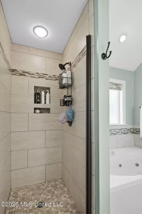 Bath - 451 Abbey Woods, Brandon, MS 39047 photo 3 of 4