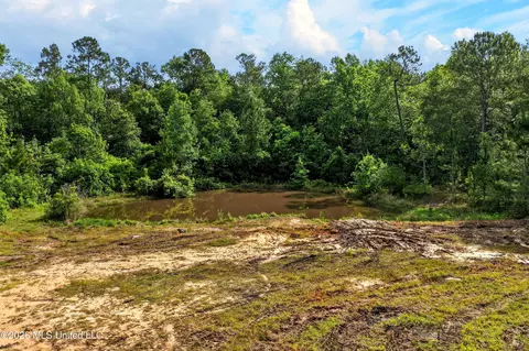 18164 Hudson Ln, Saucier, MS 39574 photo 3