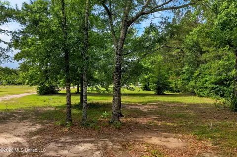 19252 Sunflower Ln, Saucier, MS 39574 photo 4