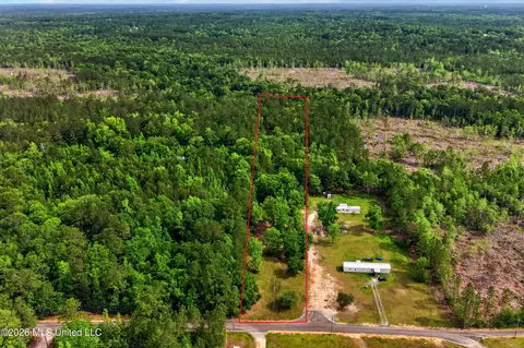 19252 Sunflower Ln, Saucier, MS 39574 photo 5