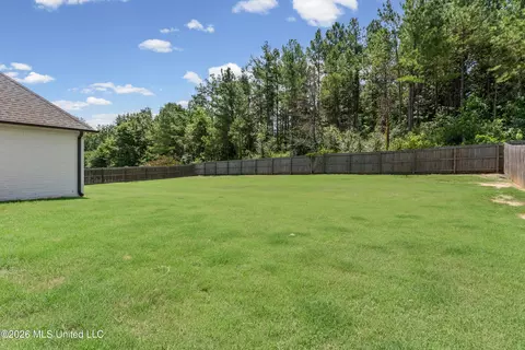 Exterior - 2353 Ouse Valley Ln, Hernando, MS 38632 photo 6 of 6