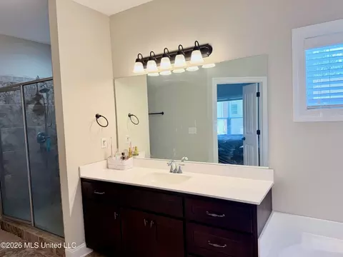 Bath - 2353 Ouse Valley Ln, Hernando, MS 38632 photo 4 of 5
