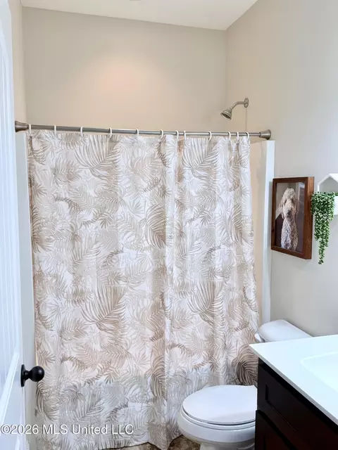 Bath - 2353 Ouse Valley Ln, Hernando, MS 38632 photo 1 of 5
