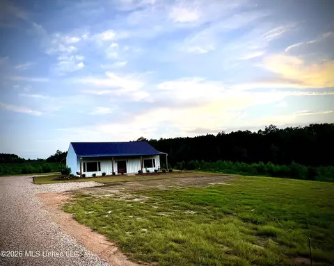 Exterior - 4544 Firehouse Rd, Liberty, MS 39645 photo 3 of 3