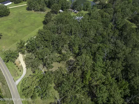 Other - 478 Holifield Cir, Brandon, MS 39042 photo 20 of 26