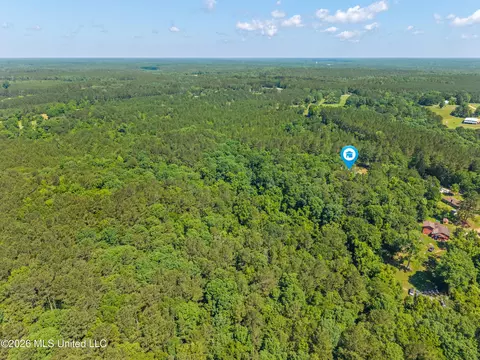 View/Area - 7122 Summit Holmesville Rd, Mccomb, MS 39648 photo 3 of 3