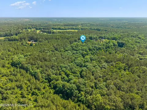 View/Area - 7122 Summit Holmesville Rd, Mccomb, MS 39648 photo 2 of 3