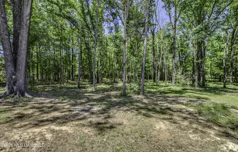 Exterior - 214 Parks Rd # B, Jackson, MS 39212 photo 14 of 18
