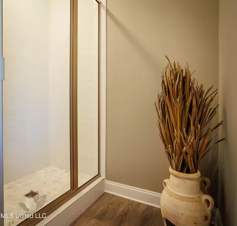 Bath - 862 Long Leaf Cir, Brandon, MS 39042 photo 4 of 6