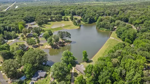 View/Area - 280 Thunderbird Dr, Hernando, MS 38632 photo 4 of 4
