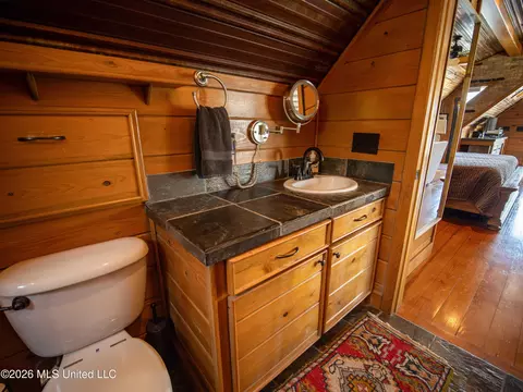 Bath - 166 Bridgewater Dr, Madison, MS 39110 photo 2 of 3