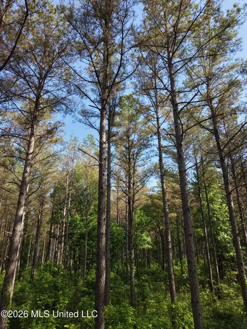Old 46 Highway, Caledonia, MS 38851 photo 17