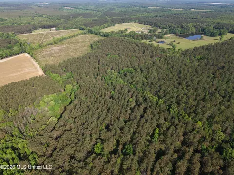 Old 46 Highway, Caledonia, MS 38851 photo 8