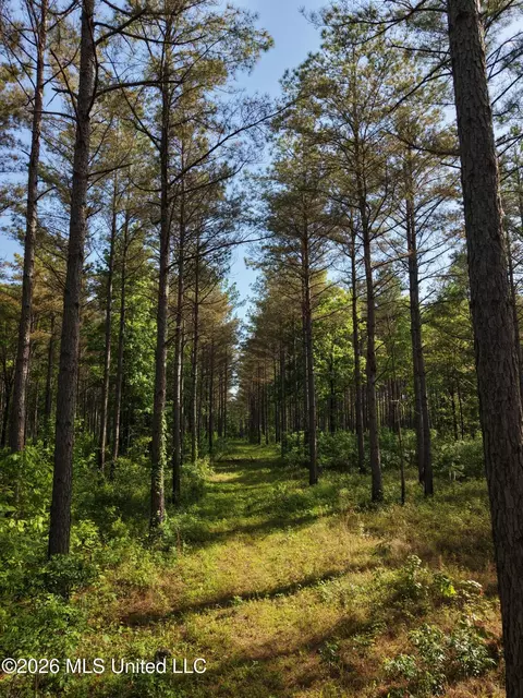 Old 46 Highway, Caledonia, MS 38851 photo 15
